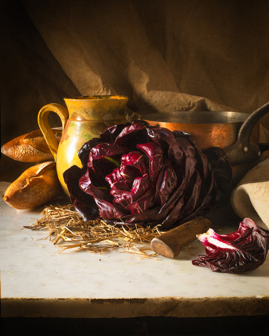 Garden Radicchio Limited Edition Print