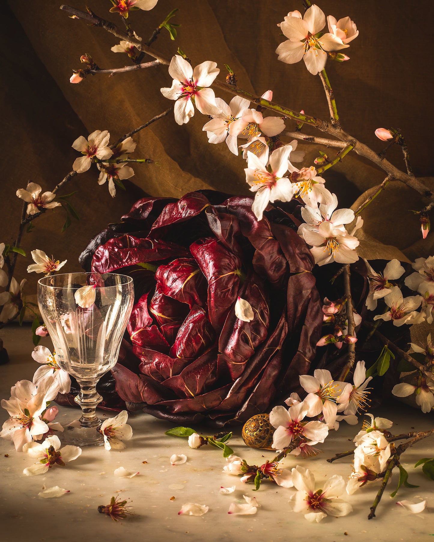 Garden Radicchio & Wild Almond Blossoms Limited Edition Print