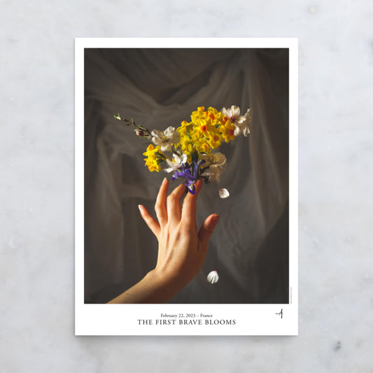 The First Brave Blooms Poster