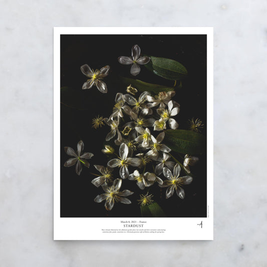 Stardust Poster