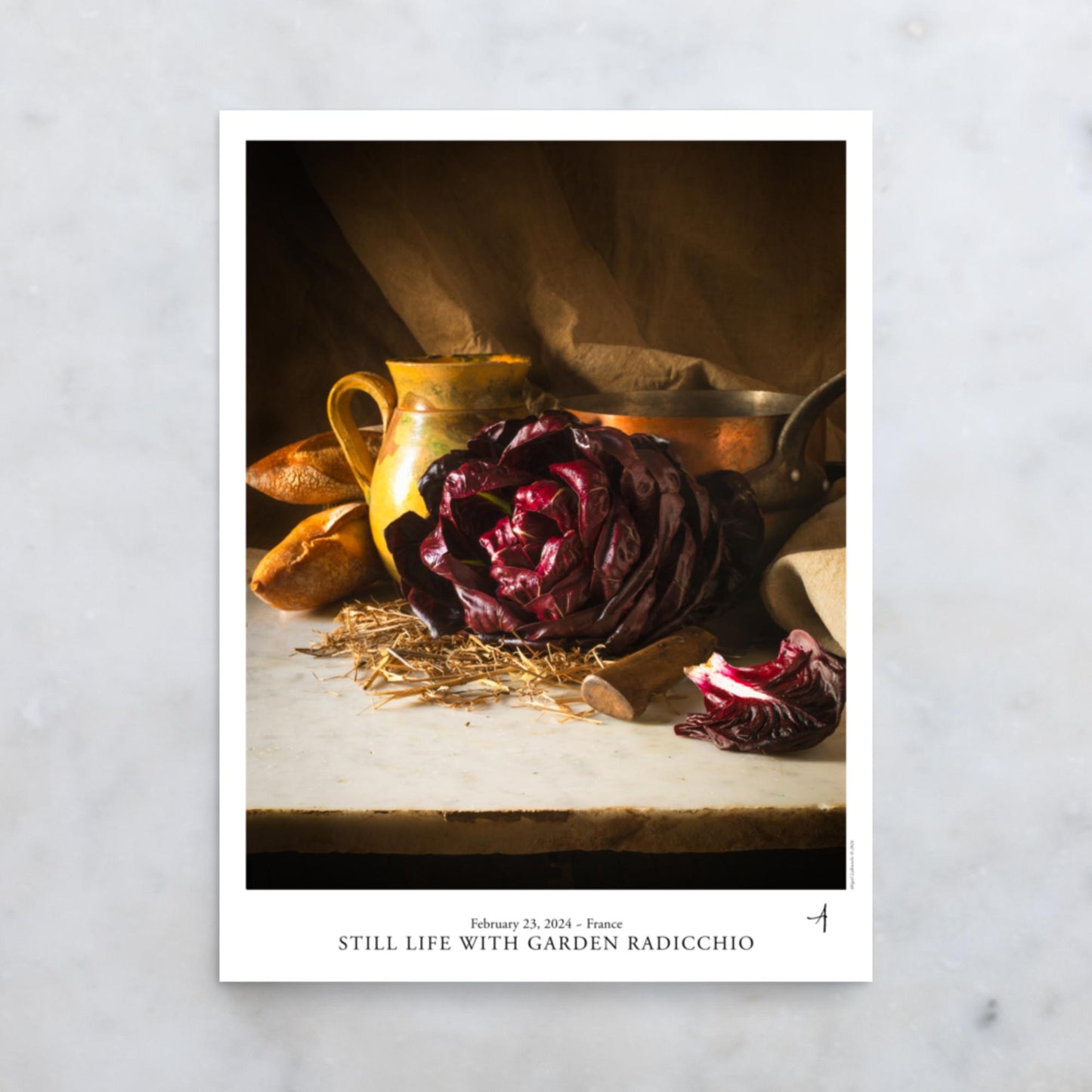 Garden Radicchio Poster