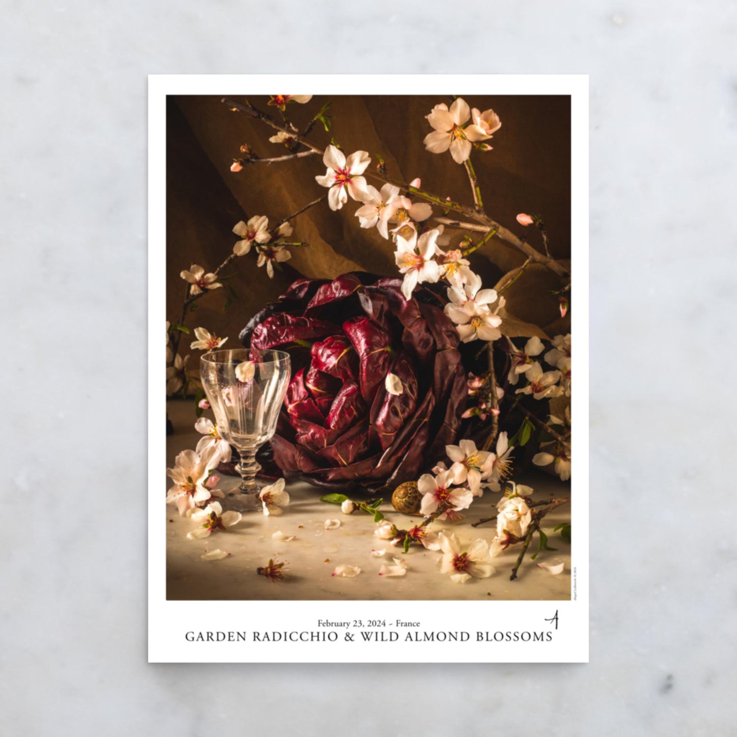 Garden Radicchio & Wild Almond Blossoms Poster