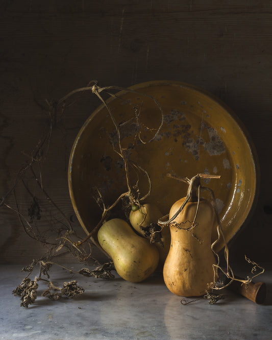 Harvest Squash  - A Month of Tables Series Day 26 - Limited Edition Print