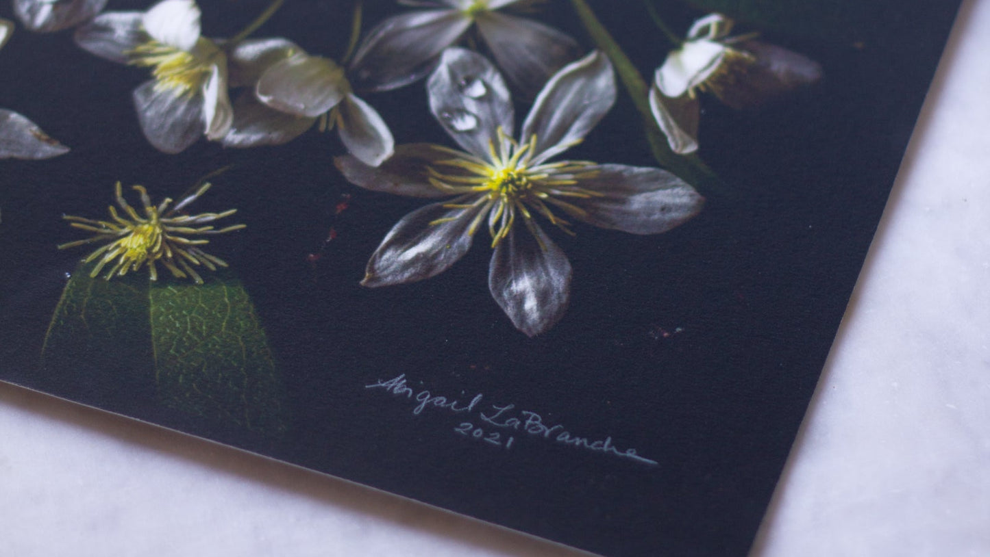 Curio  - A Month of Tables Series Day 29 - Limited Edition Print