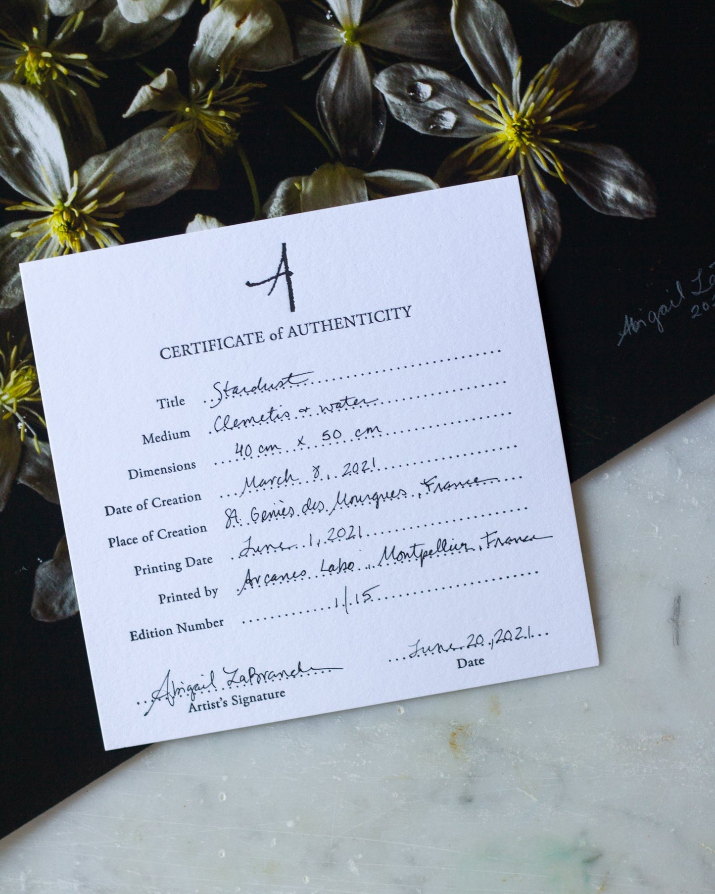 Borlotti Beans & Fading Cosmos - A Month of Tables Series Day 6 - Limited Edition Print