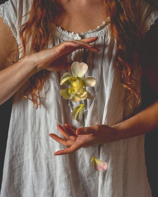 The Last Rose Limited Edition Print