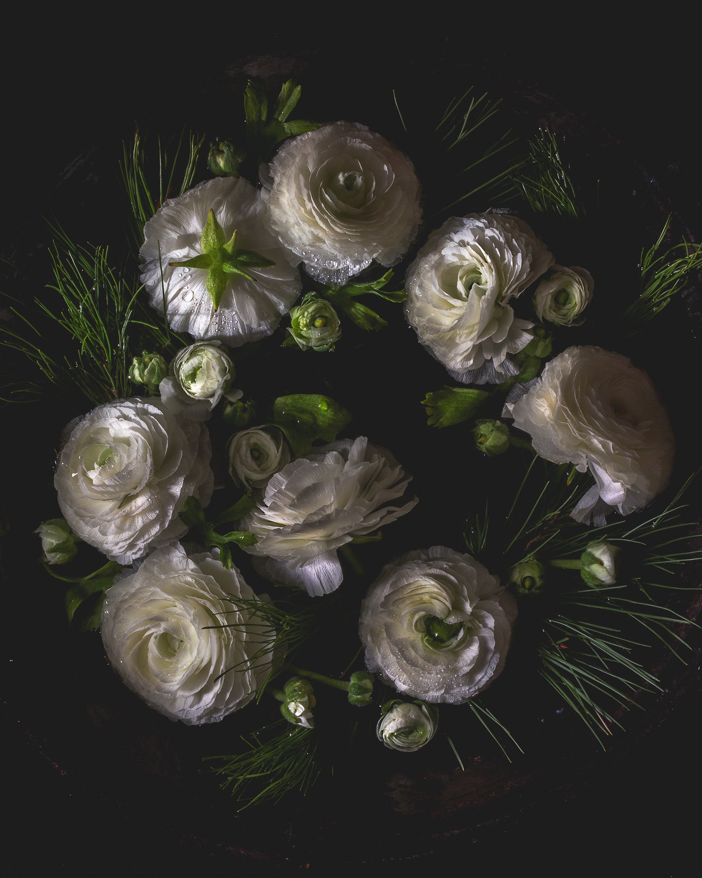 Ranunculus & Pine Limited Edition Print