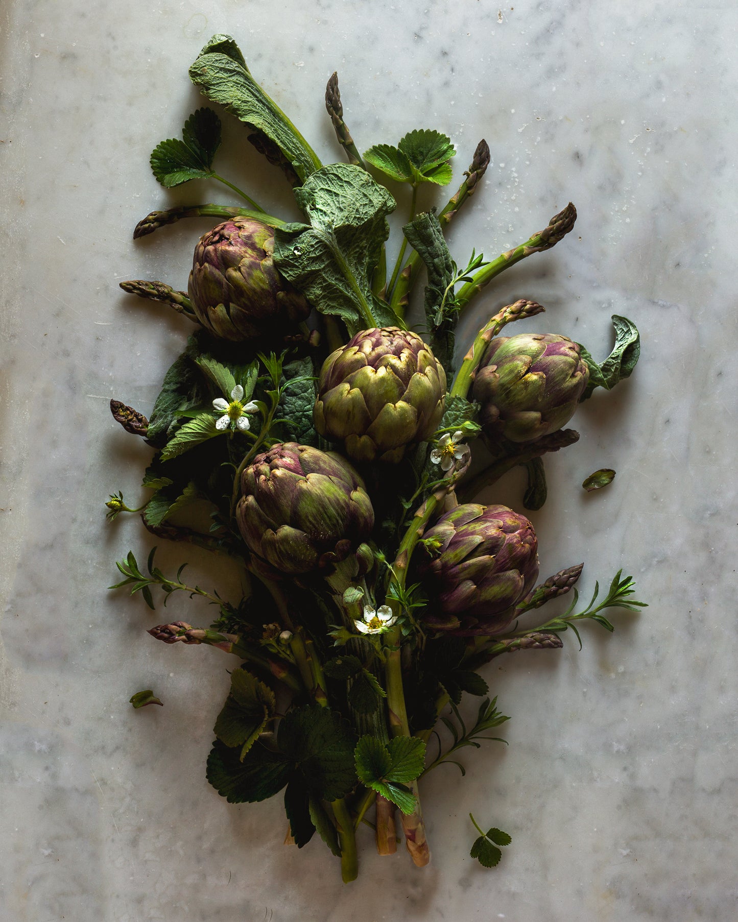 The Asparagus Bundle Limited Edition Print