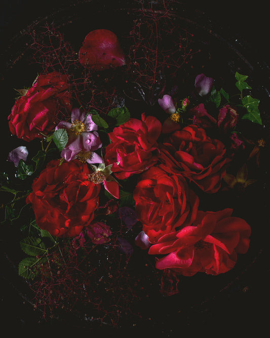 Abandoned Roses Limited Edition Print