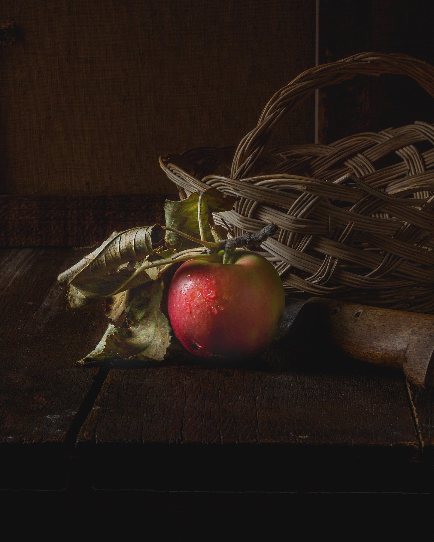 Fairytale of an Apple Limited Edition Print