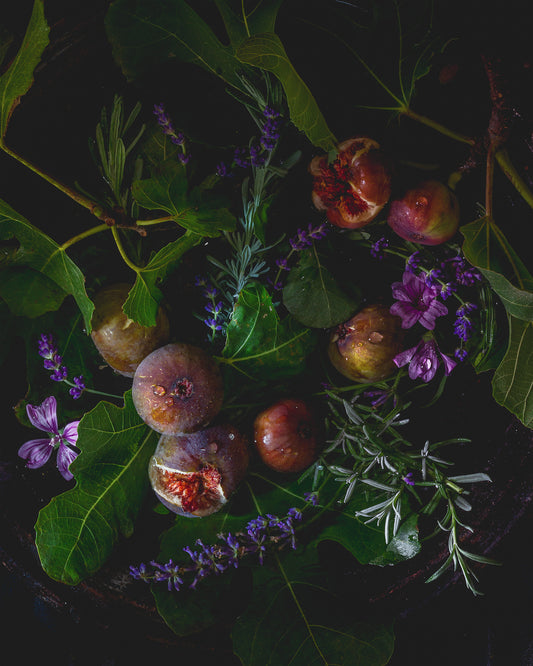 Sud de la France II Limited Edition Print