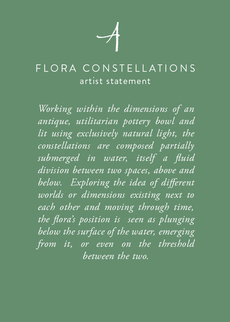 Mountain Spring Flora Limited Edition Print