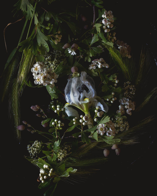 Wild Fair Iris Fairytale Limited Edition Print