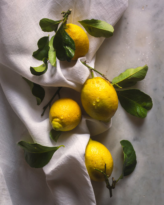 Winter Lemons Limited Edition Print