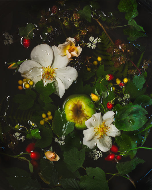 Orchard Garden Limited Edition Print