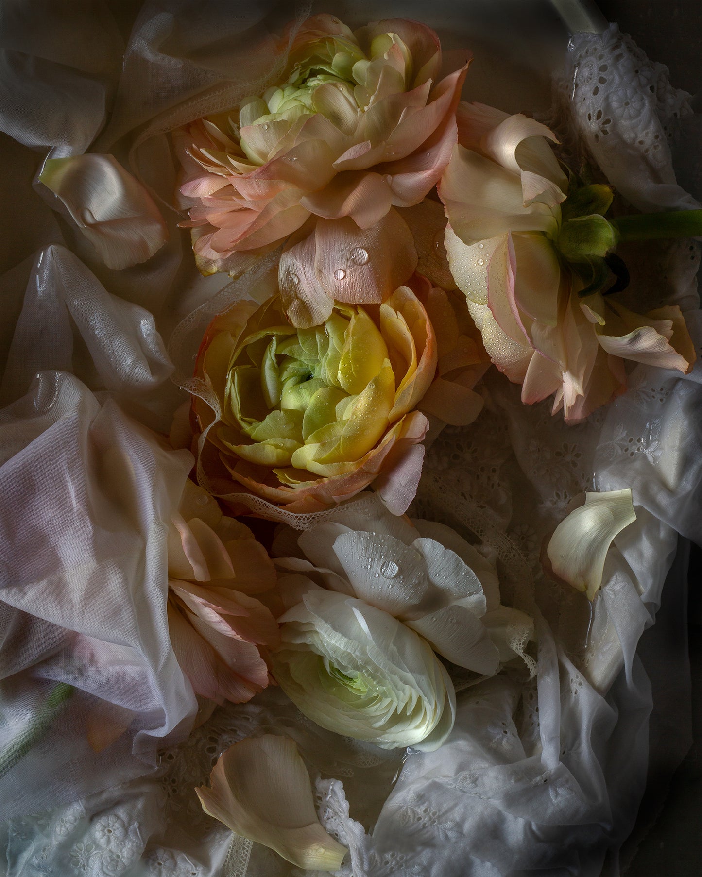 Romance of Spring Blooms Limited Edition Print