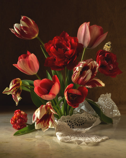 Tulips & Lace Limited Edition Print