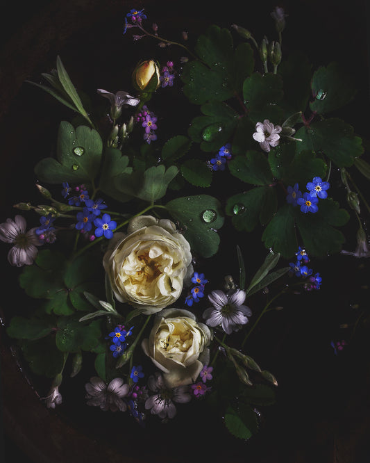 Twilight Garden I Limited Edition Print