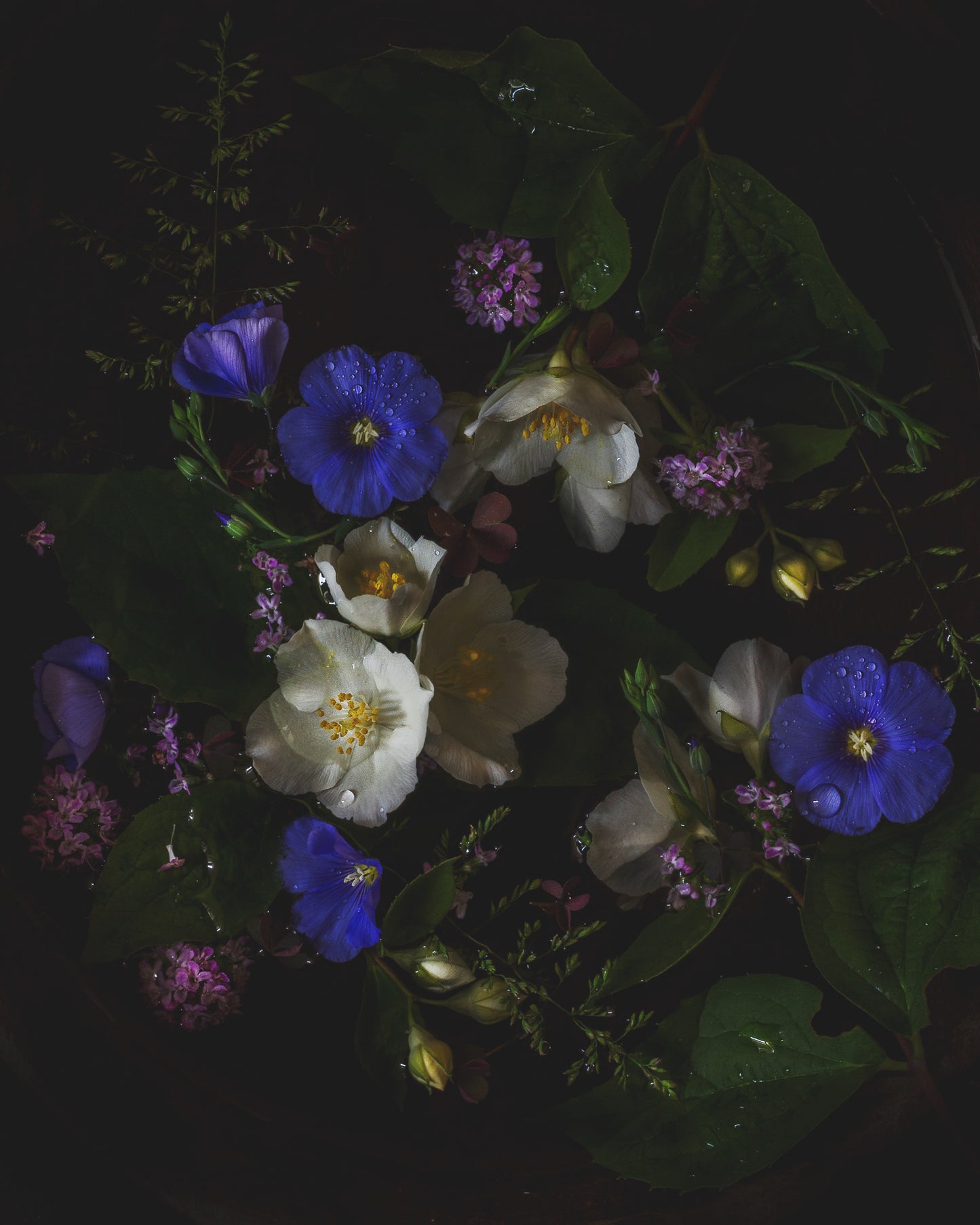 Twilight Garden II Limited Edition Print