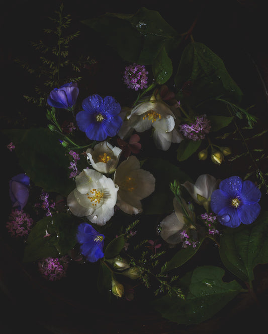 Twilight Garden II Limited Edition Print