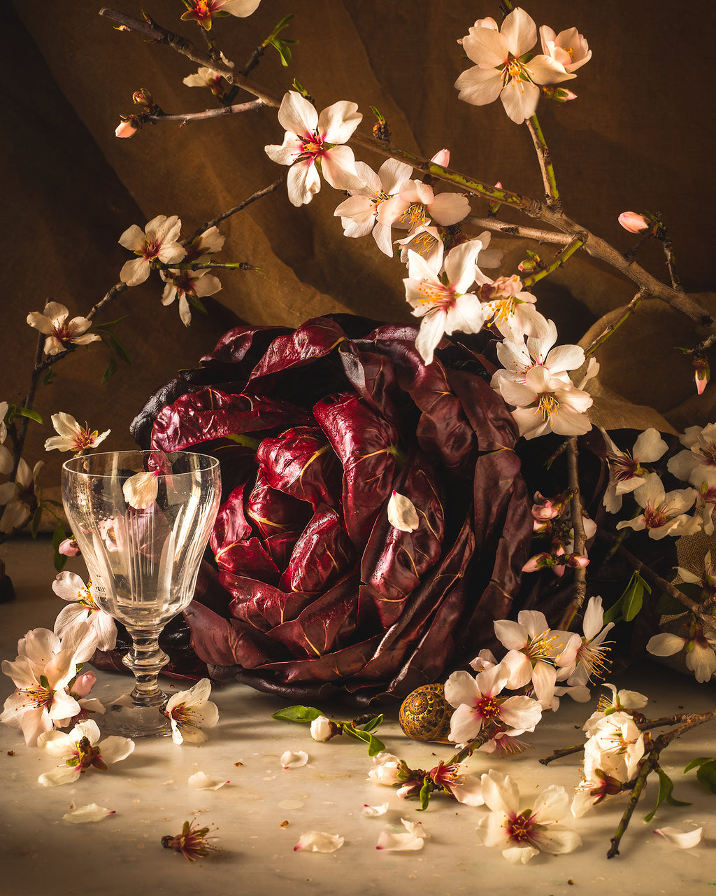 Garden Radicchio & Wild Almond Blossoms Limited Edition Print