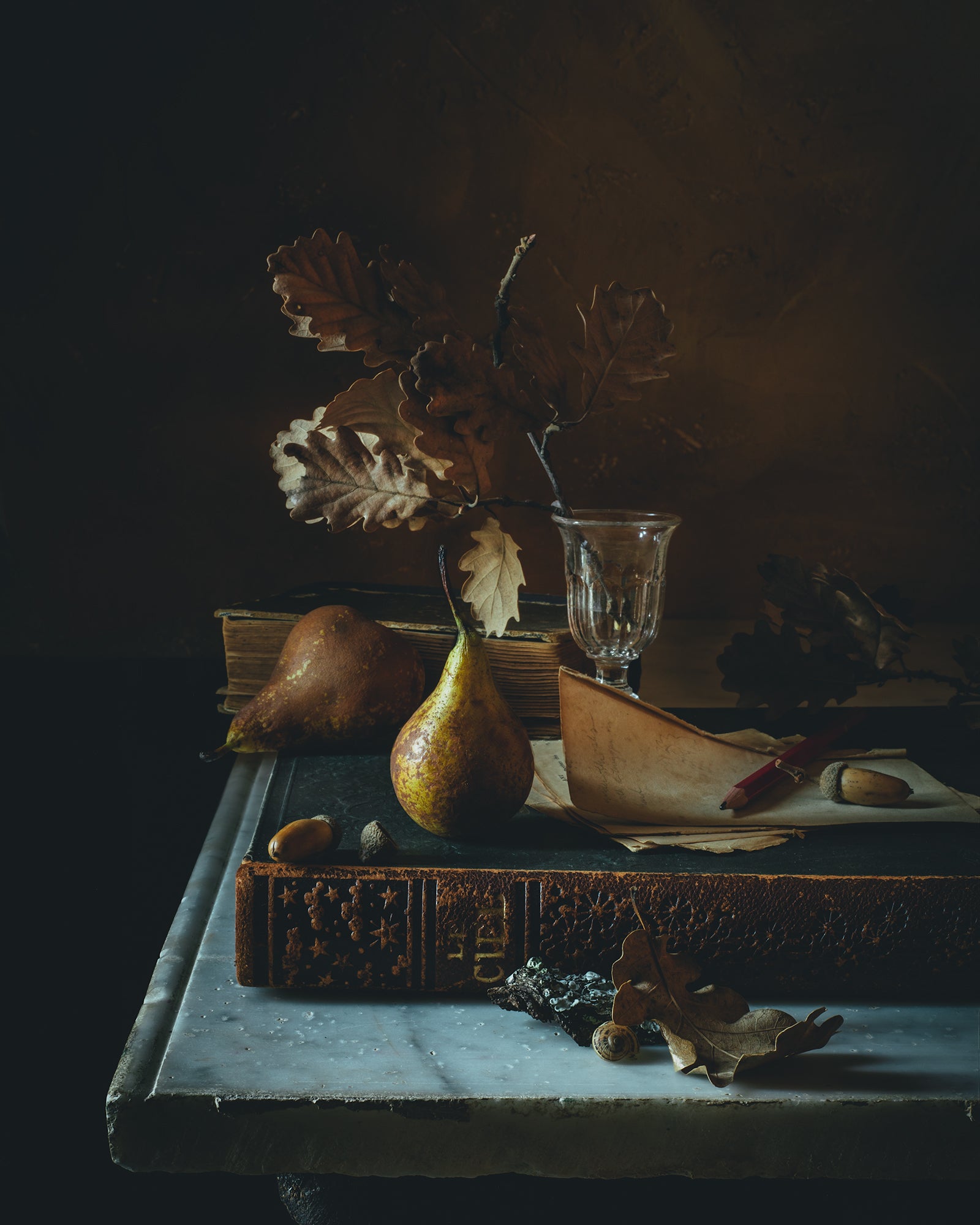 Tiny Pears, Golden Hues, Winter Light Limited Edition Print