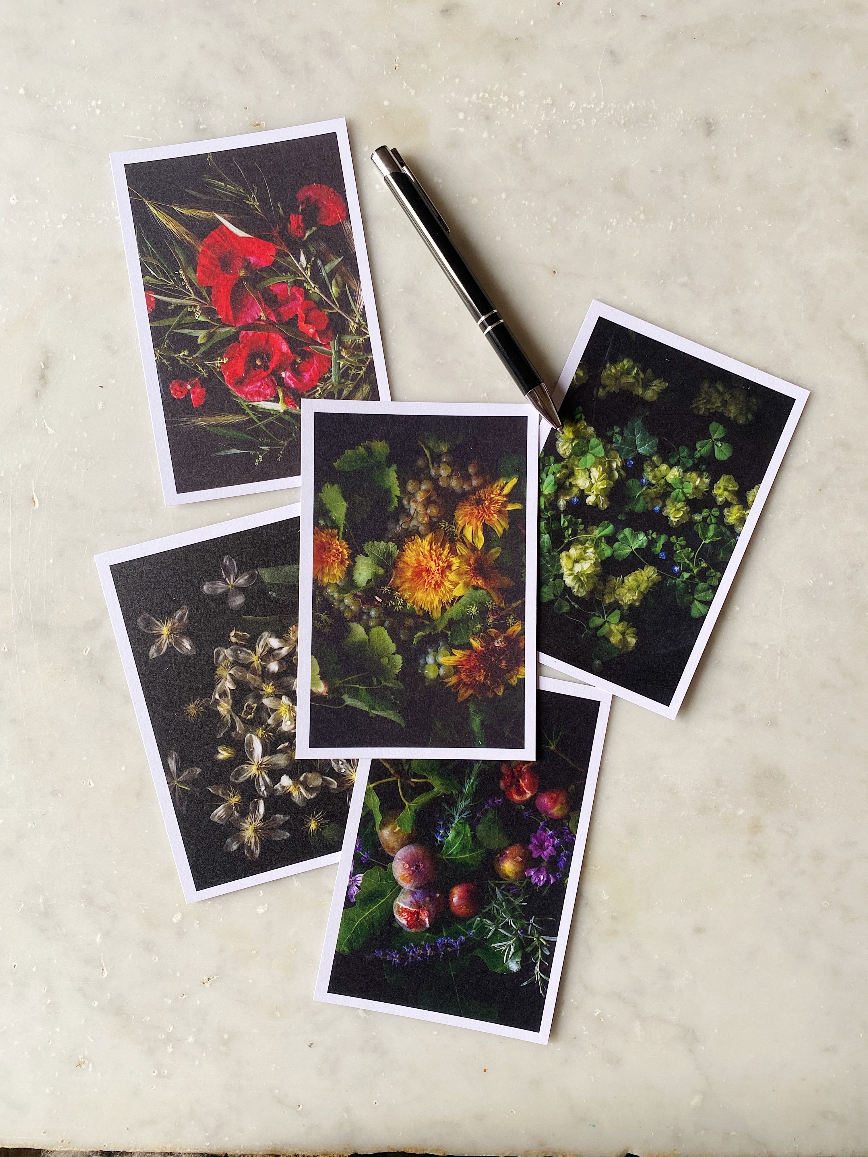 Flora Constellations Stationary - Set of 5 cards + envelopes