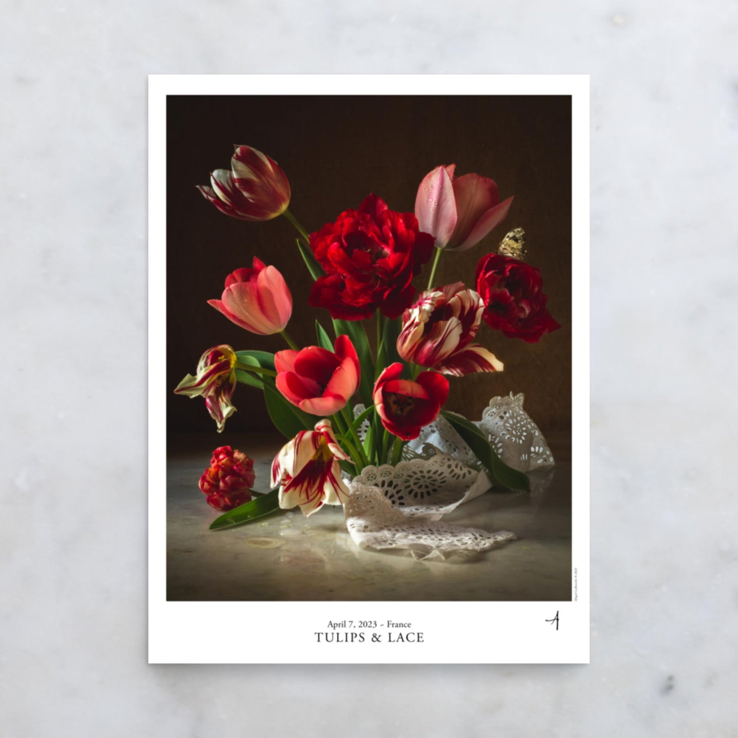 Tulips & Lace Poster