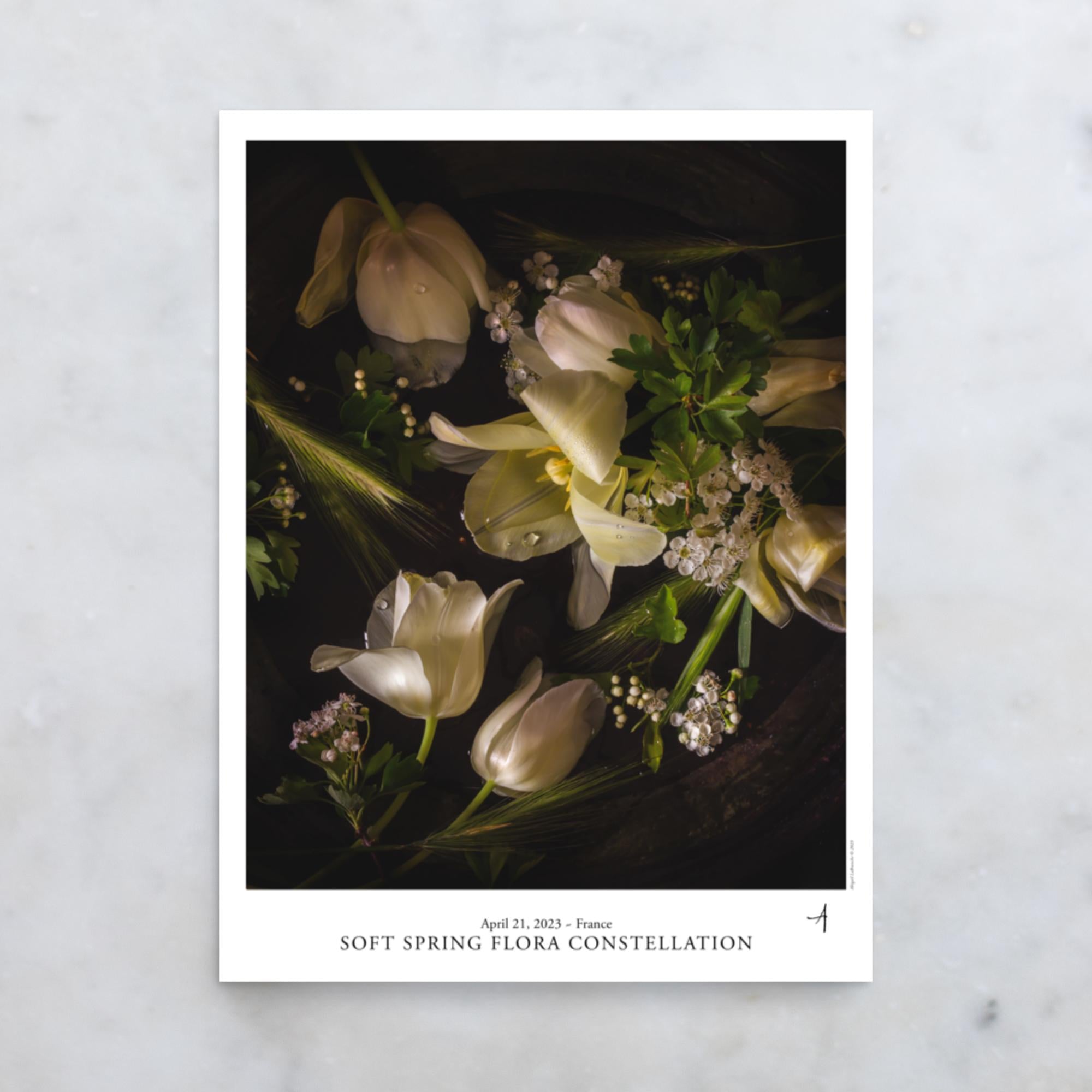 Soft Spring Flora Constellation Poster