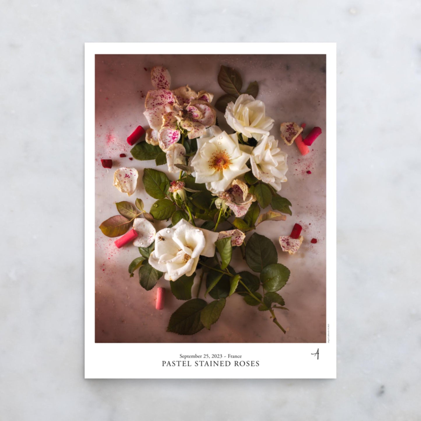 Pastel Stained Roses Poster