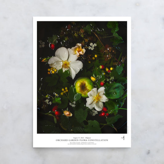 Orchard Garden Flora Constellation Poster
