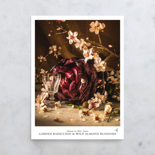 Garde Radicchio & Wild Almond Blossoms Poster