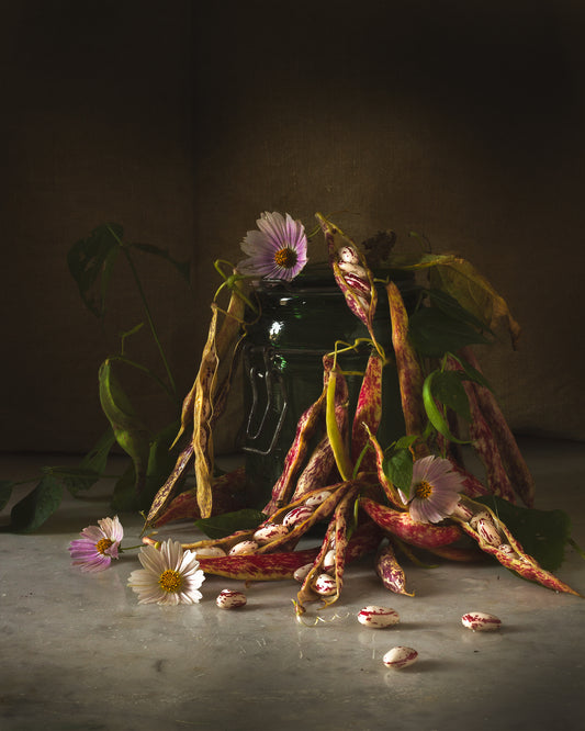 Borlotti Beans & Fading Cosmos - A Month of Tables Series Day 6 - Limited Edition Print