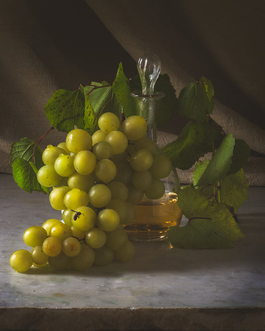 Grapes  - A Month of Tables Series Day 8 - Limited Edition Print