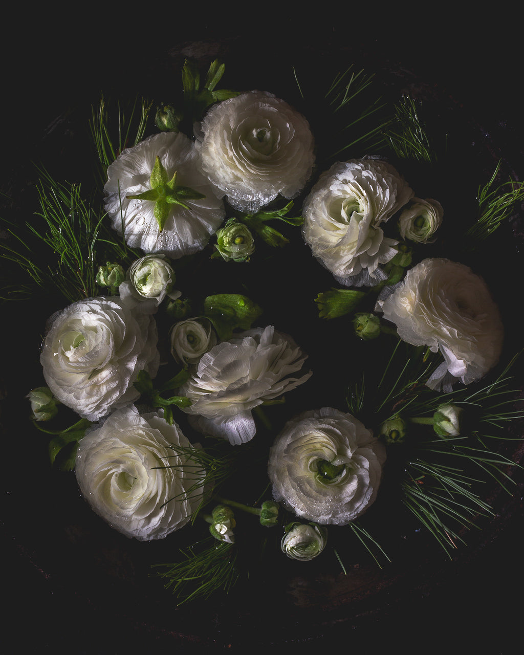 Ranunculus & Pine Limited Edition Print
