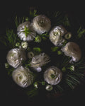 Ranunculus & Pine Limited Edition Print