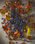 Abandoned Grapes I Limited Edition Print
