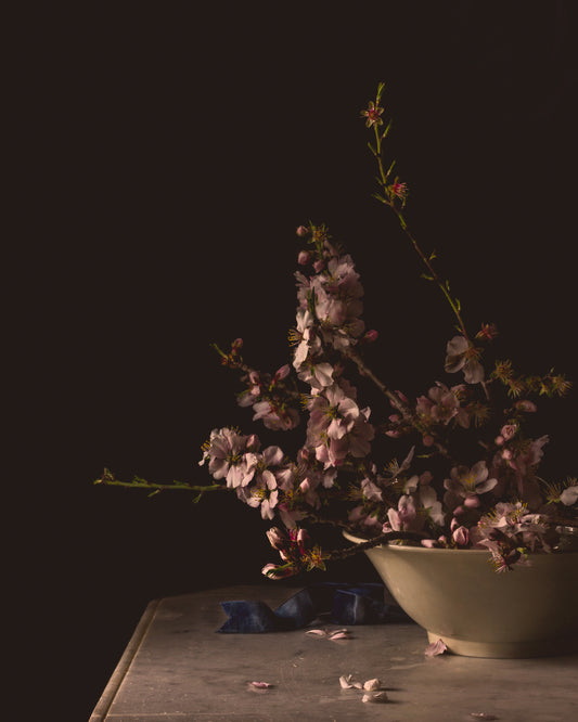Bowl of Wild Almond Branches in Spring Limited Edition Print