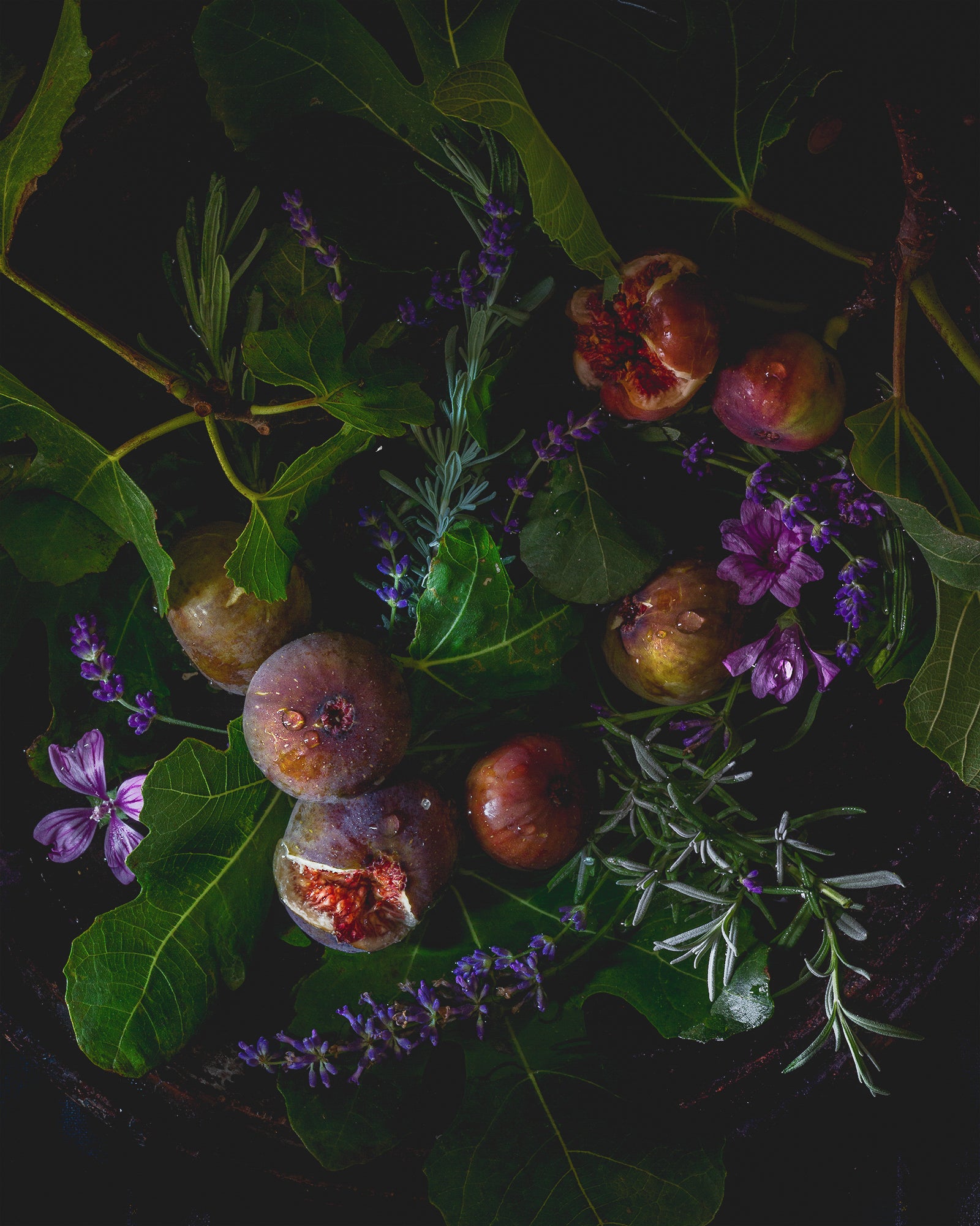 Sud de la France II Limited Edition Print