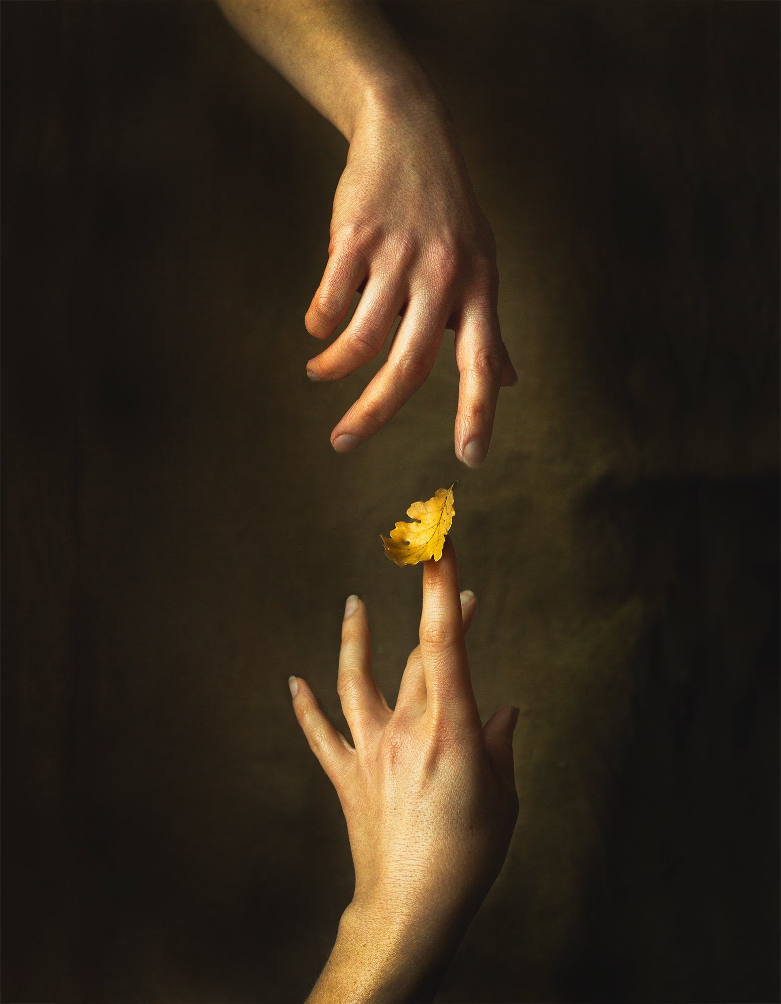 All That is Golden Limited Edition Print