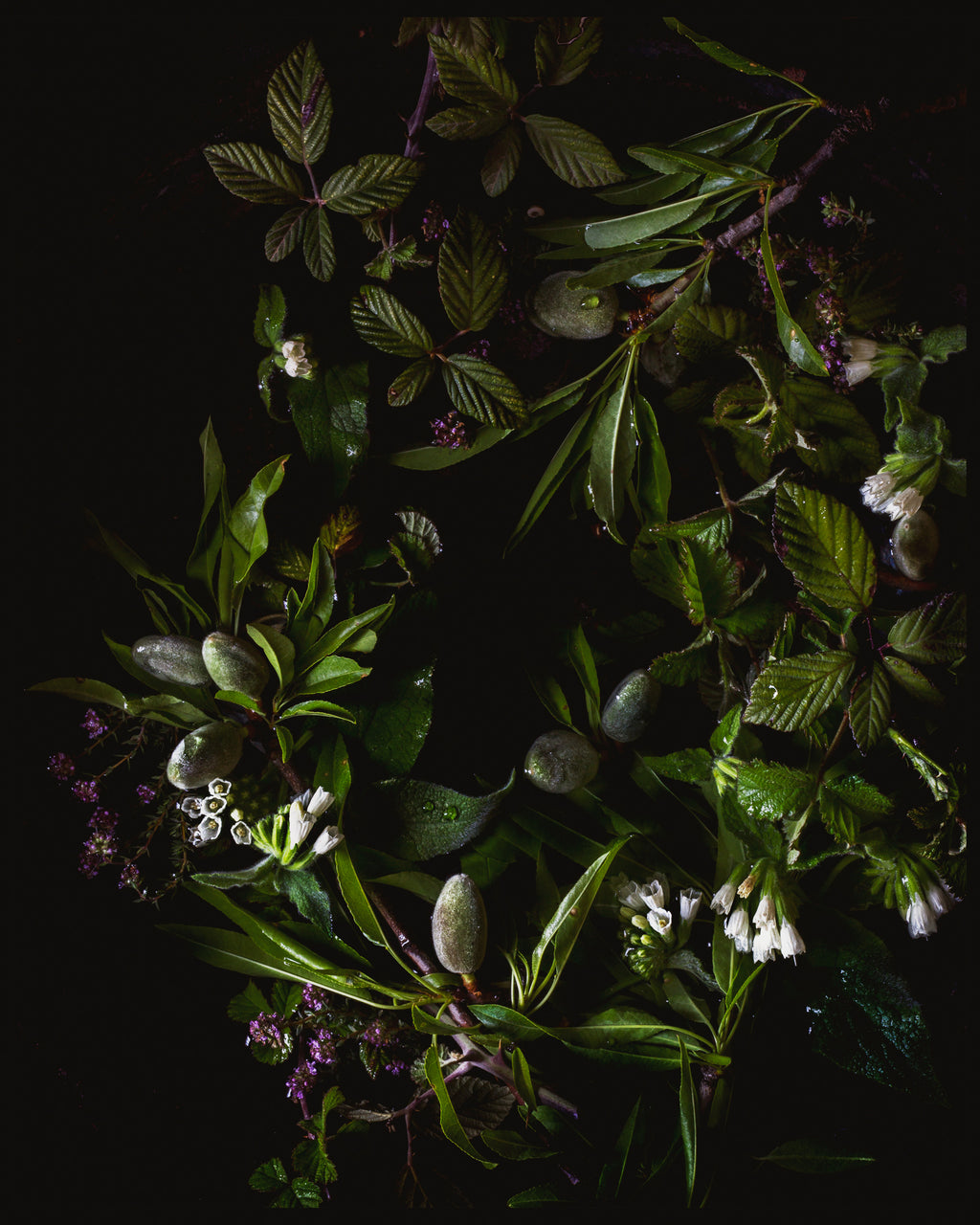 Of the Fields Limited Edition Print