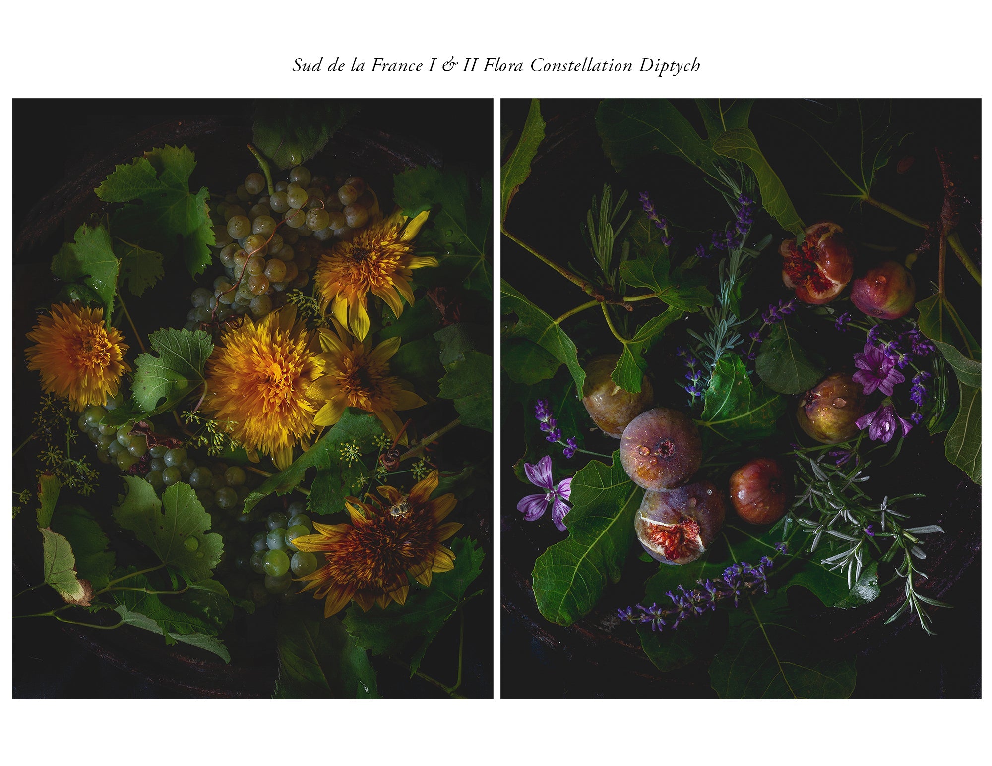 Sud de la France II Limited Edition Print