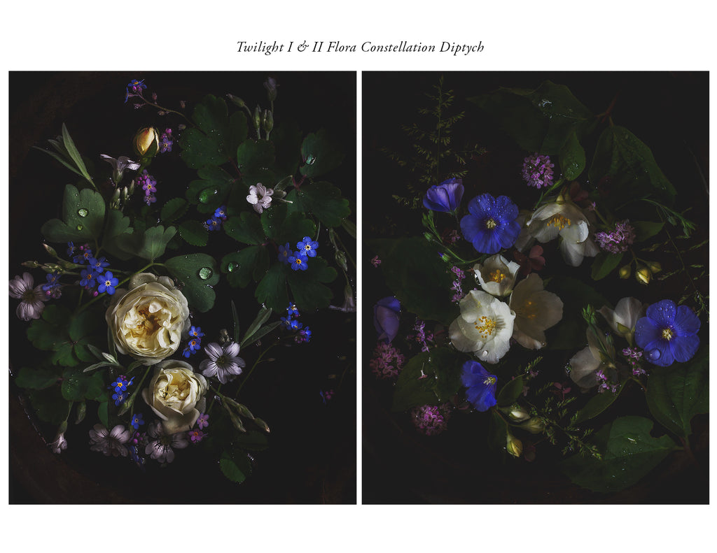 Twilight Garden I Limited Edition Print